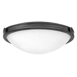 Потолочный светильник Collier Hinkely HK-COLLIER-F-M-BX черный оксид